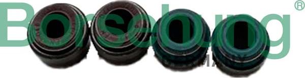 Borsehung B12534 - Etansare, supape aaoparts.ro