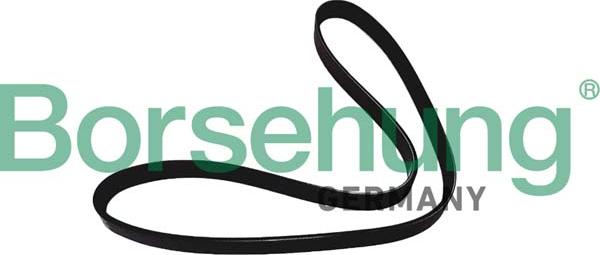 Borsehung B12386 - Curea transmisie cu caneluri aaoparts.ro