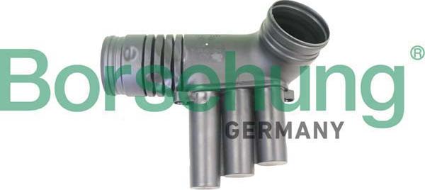 Borsehung B12330 - Palnie, filtru de aer aaoparts.ro