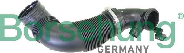 Borsehung B12331 - Palnie, filtru de aer aaoparts.ro