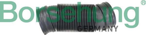 Borsehung B12326 - Palnie, filtru de aer aaoparts.ro