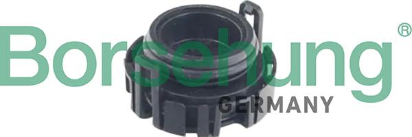 Borsehung B12240 - Supapa presiune ulei aaoparts.ro
