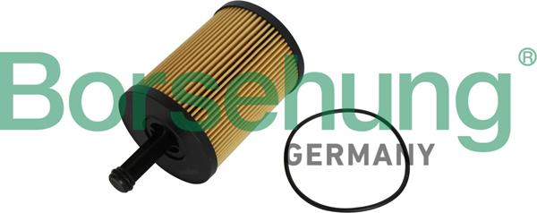 Borsehung B12224 - Filtru ulei aaoparts.ro