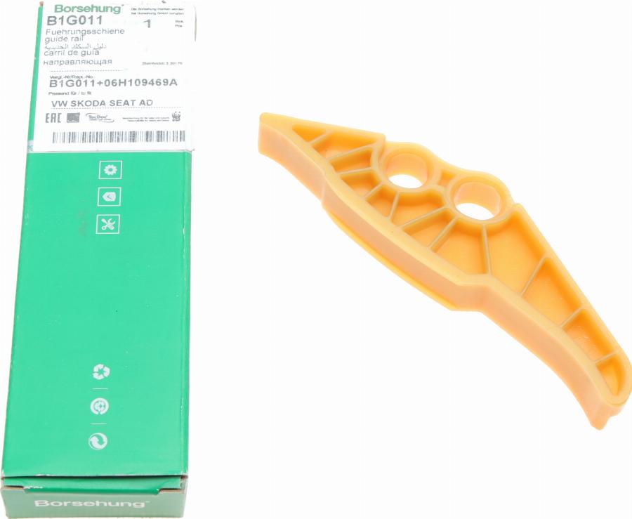 Borsehung B1G011 - Ghidaje, lant distributie aaoparts.ro
