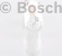 BOSCH 1 987 301 024 - Bec, lumini interioare aaoparts.ro