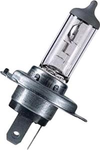 BOSCH 1 987 302 923 - Bec incandescent aaoparts.ro