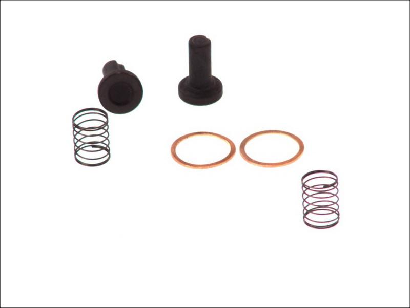 BOSCH 2 447 010 011 - Filtru combustibil aaoparts.ro