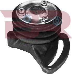 BOTTO RICAMBI BRM6784 - Intinzator curea, curea distributie aaoparts.ro