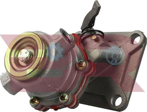 BOTTO RICAMBI BRM0098 - Pompa combustibil aaoparts.ro