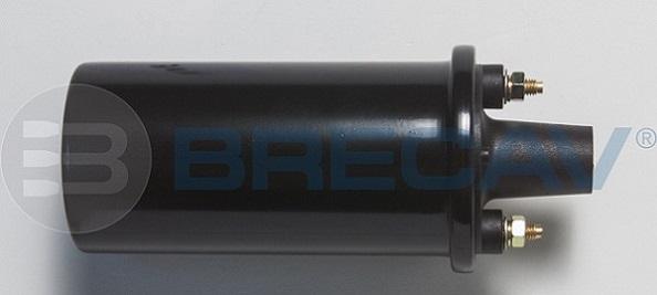 Brecav 206.013 - Bobina de inductie aaoparts.ro