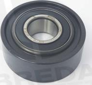 Breda Lorett TDI1662 - Rola intinzator,curea distributie aaoparts.ro