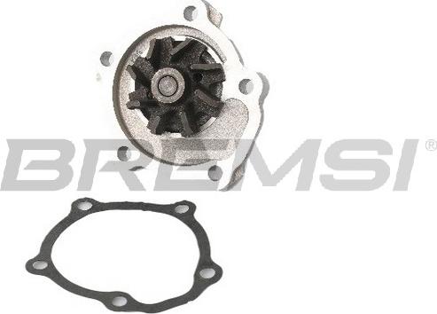 Bremsi WP0542 - Pompa apa aaoparts.ro