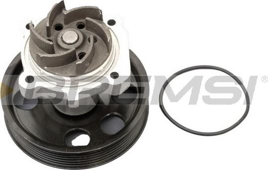 Bremsi WP0183 - Pompa apa aaoparts.ro