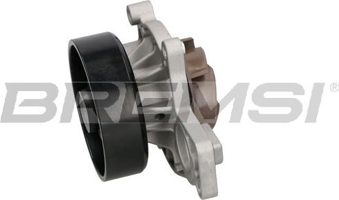 Bremsi WP0276 - Pompa apa aaoparts.ro