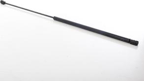 BSG BSG 90-980-054 - Amortizor capota aaoparts.ro