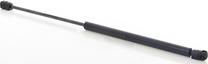 BSG BSG 90-980-064 - Amortizor capota aaoparts.ro