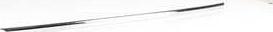 BSG BSG 90-924-047 - Elemente decorative / protectie, portiera aaoparts.ro