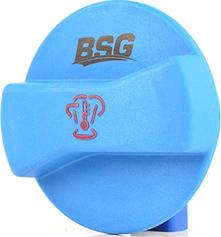 BSG BSG 90-551-004 - Buson,vas expansiune aaoparts.ro