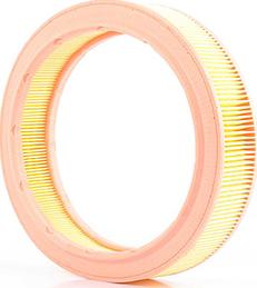 BSG BSG 90-135-003 - Filtru aer aaoparts.ro