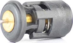 BSG BSG 90-125-005 - Termostat,lichid racire aaoparts.ro