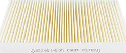BSG BSG 65-145-011 - Filtru, aer habitaclu aaoparts.ro