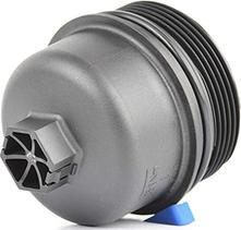 BSG BSG 65-141-001 - Capac, carcasa filtru ulei aaoparts.ro