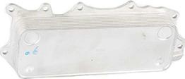 BSG BSG 60-506-009 - Radiator ulei, ulei motor aaoparts.ro