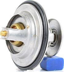 BSG BSG 60-125-001 - Termostat,lichid racire aaoparts.ro