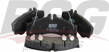BSG BSG 60-202-003 - Set placute frana,frana disc aaoparts.ro