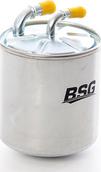 BSG BSG 62-130-002 - Filtru combustibil aaoparts.ro