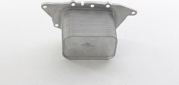 BSG BSG 15-506-044 - Radiator ulei, ulei motor aaoparts.ro