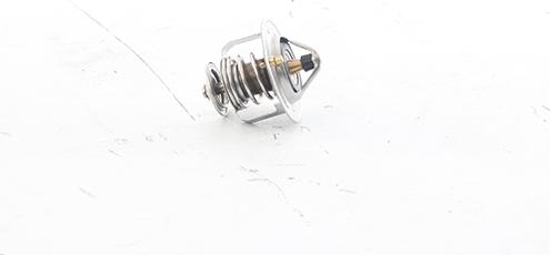 BSG BSG 16-125-008 - Termostat,lichid racire aaoparts.ro