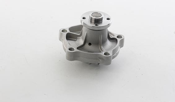 BSG BSG 83-500-002 - Pompa apa aaoparts.ro