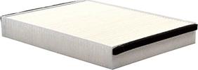 BSG BSG 30-145-017 - Filtru, aer habitaclu aaoparts.ro