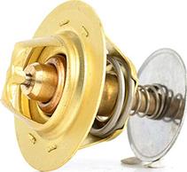 BSG BSG 30-125-001 - Termostat,lichid racire aaoparts.ro
