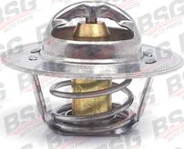 BSG BSG 30-125-016 - Termostat,lichid racire aaoparts.ro