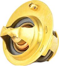 BSG BSG 30-125-020 - Termostat,lichid racire aaoparts.ro