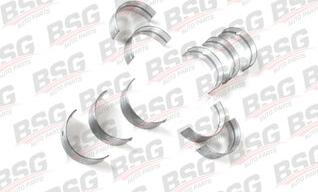 BSG BSG 30-120-007 - Set rulemt arbore cotit aaoparts.ro
