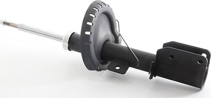 BSG BSG 25-300-016 - Amortizor aaoparts.ro