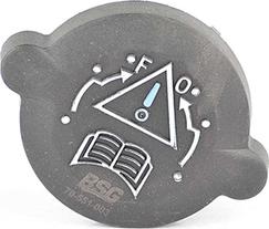BSG BSG 70-551-003 - Buson,vas expansiune aaoparts.ro