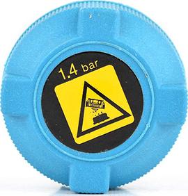 BSG BSG 70-551-002 - Buson,vas expansiune aaoparts.ro