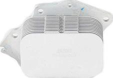 BSG BSG 70-506-003 - Radiator ulei, ulei motor aaoparts.ro