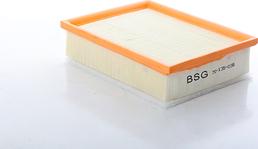 BSG BSG 70-135-038 - Filtru aer aaoparts.ro