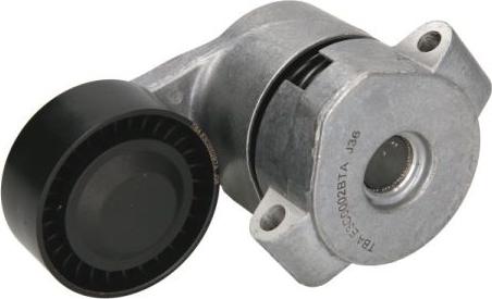 BTA E3C0002BTA - Intinzator curea, curea distributie aaoparts.ro