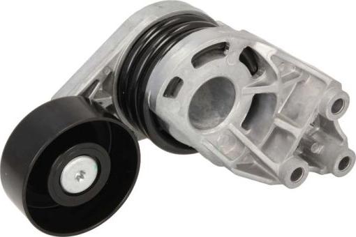 BTA E3W0025BTA - Intinzator curea, curea distributie aaoparts.ro