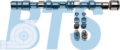 BTS Turbo CP62224 - Set ax cu came aaoparts.ro