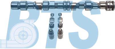 BTS Turbo CP62214 - Set ax cu came aaoparts.ro
