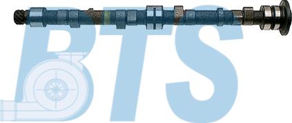 BTS Turbo CP10601 - Ax cu came aaoparts.ro