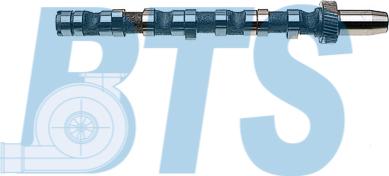 BTS Turbo CP10242 - Ax cu came aaoparts.ro