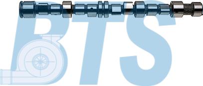 BTS Turbo CP12252 - Ax cu came aaoparts.ro